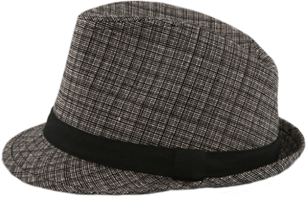 nice_hat-587x380-1